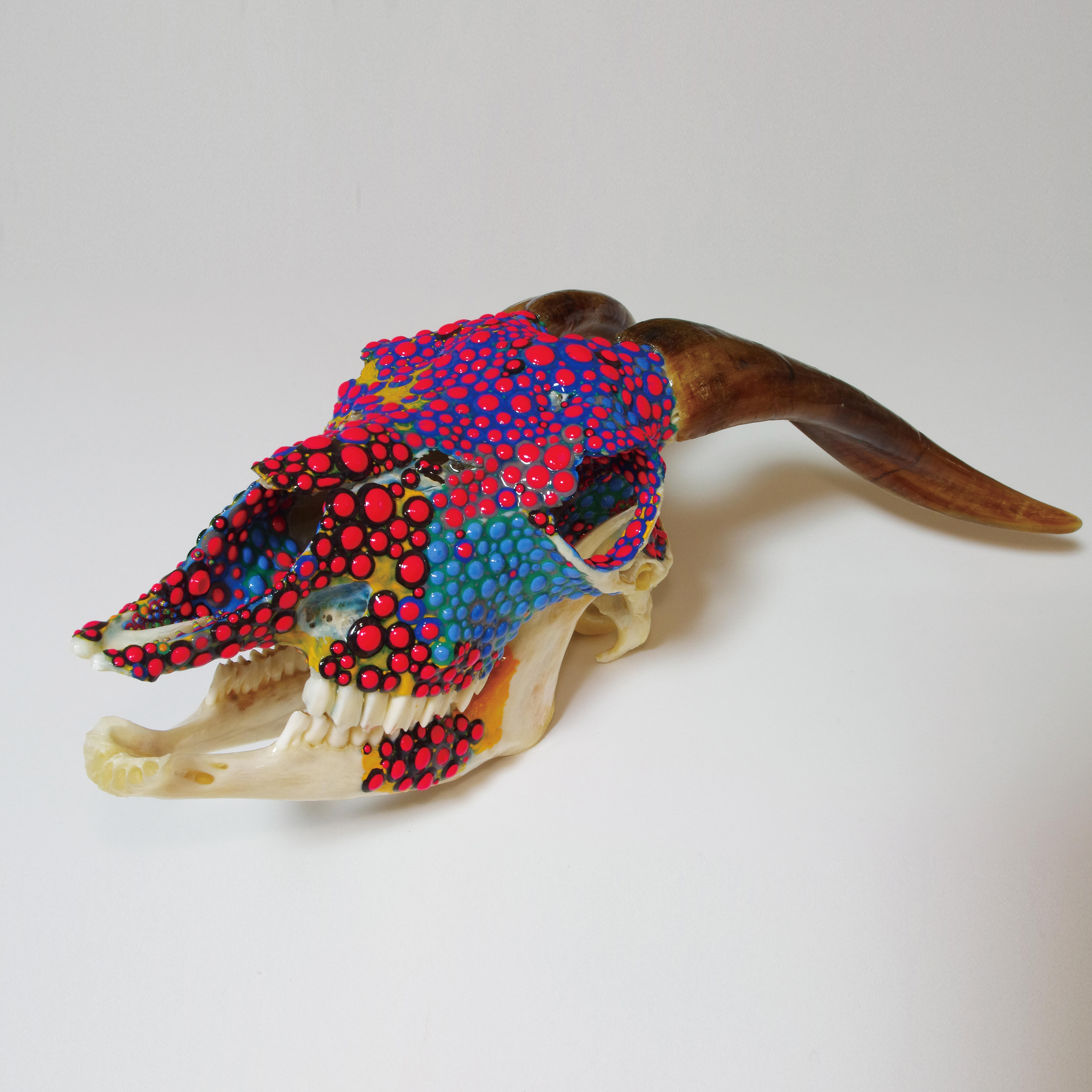 小野耕石＠代官山蔦屋書店