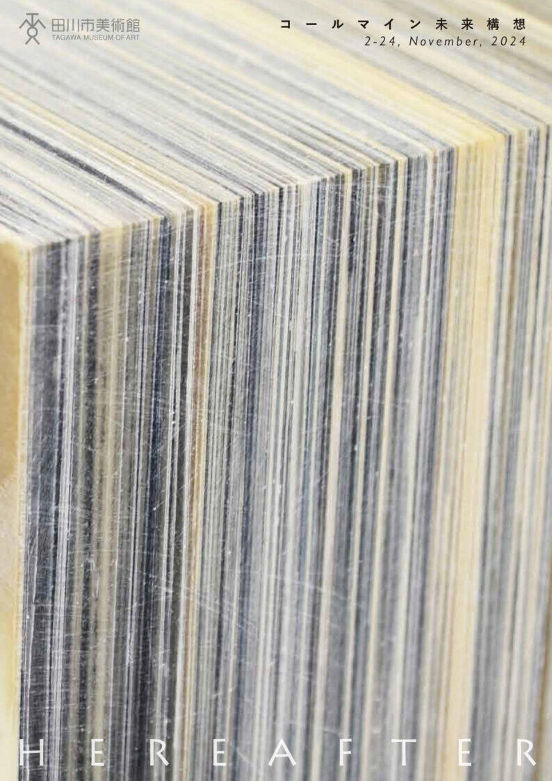 藤堂、川俣正 ＠ 田川市美術館、福岡