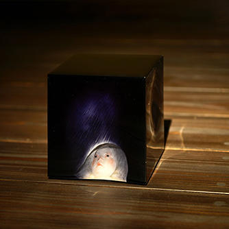 中谷ミチコ ：リアル（写実）のゆくえ　現代の作家たち　生きること、写すこと、2022-23年 全国巡回