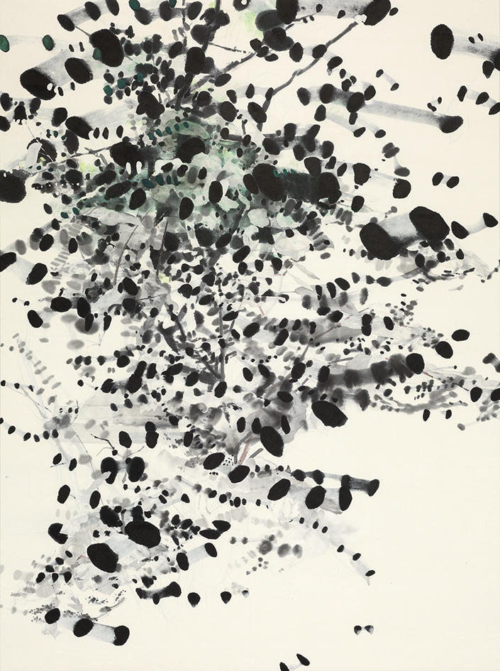 新作情報：浅見貴子