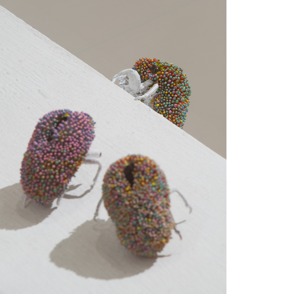 小野耕石 展覧会 "cultivate the boulder Ⅱ"