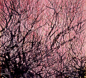 冬期休廊のお知らせ