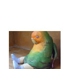 代官山蔦屋書店