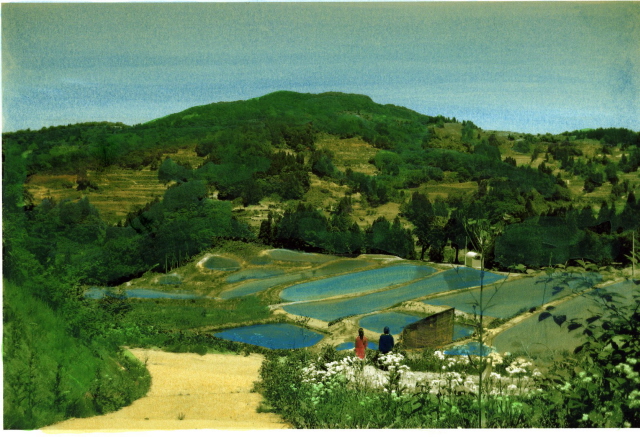 ワタリドリ計画＝麻生知子＋武内明子