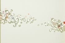 夏季休廊のお知らせ